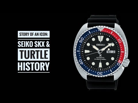 Story of an Icon: Seiko SKX &amp; Turtle Dive Watches | Armand The Watch Guy