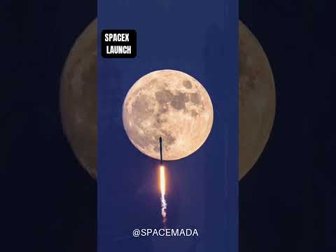 &quot;Perfectly Timed SpaceX Launch with a Stunning Lunar Backdrop!&quot; Falcon 9@ElonMusk-FanZone@YouTube