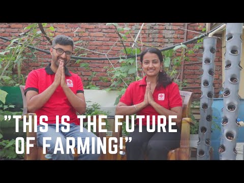 Vertical Farming: How Youth-Led Innovation is Transforming Greener #Kathmandu