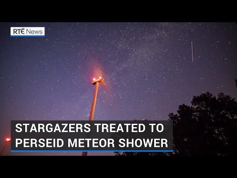 Stargazers catch a glimpse of Perseids across night sky