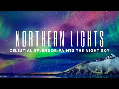 Northern Lights - Celestial Splendor Paints the Night Sky #northernlights #night #sky #subscribe