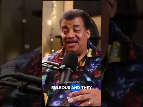 The Enigmatic Dance of Red Giant and White Dwarf w/ Neil deGrasse Tyson