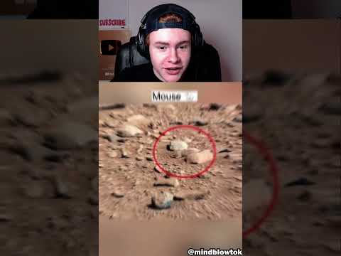 Strange Photos Taken on Mars 🤨