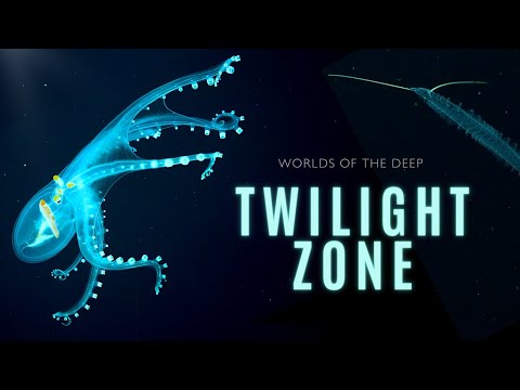 Mysteries of the Twilight Zone | Worlds of the Deep