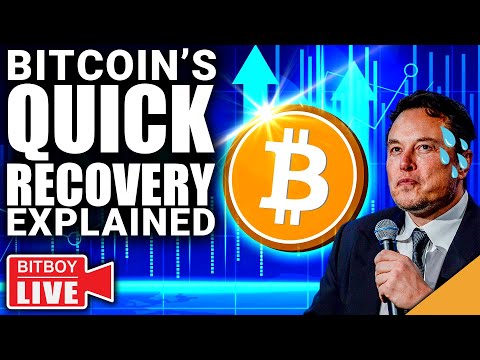 Bitcoin&#039;s QUICK Recovery Explained (Elon Musk in Trouble?)