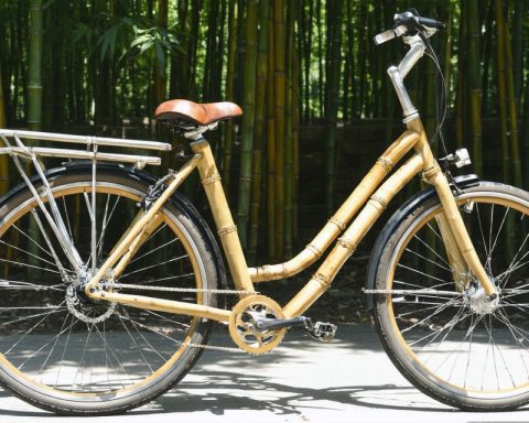 The Bamboo Bicycle Revolution: A Sustainable Spin on Urban Commutes